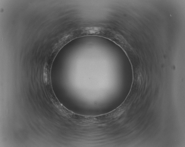 X0000082741442200702091851