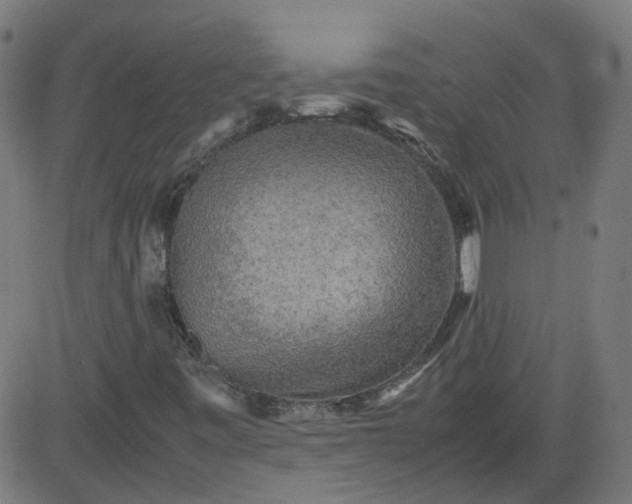 X0000082741443200702091851