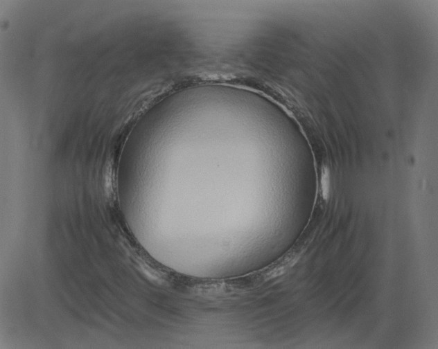 X0000082741444200702091851