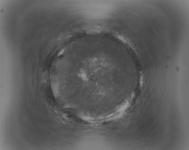 X0000082741445200702091851