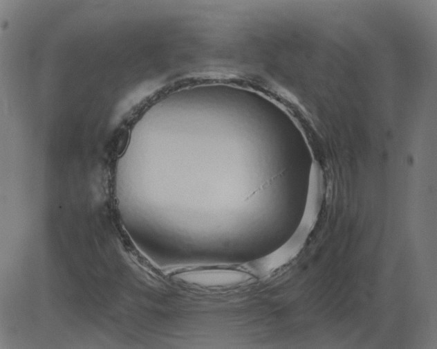 X0000082741448200702091851