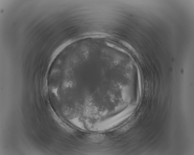 X0000082741466200702091851