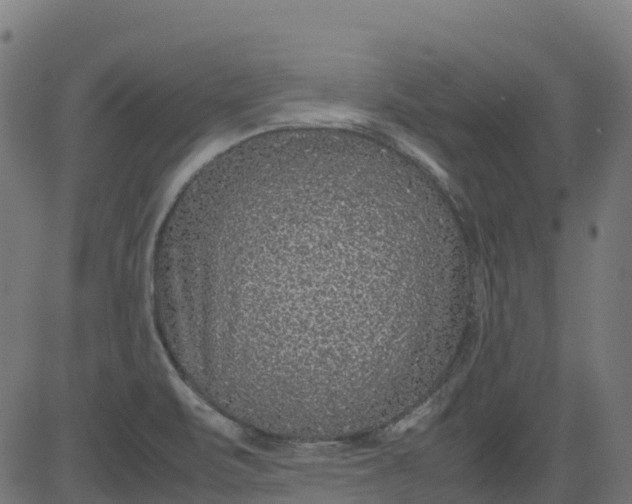 X0000082741471200702091851