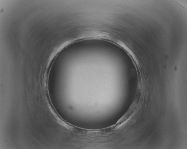 X0000082741477200702091851