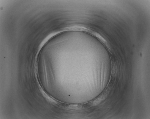 X0000082741478200702091851