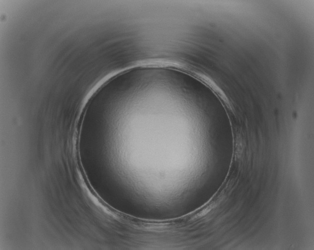 X0000082741484200702091851