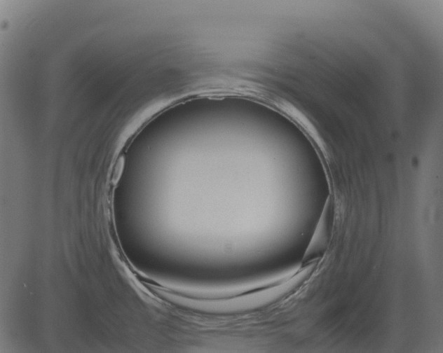 X0000082741485200702091851