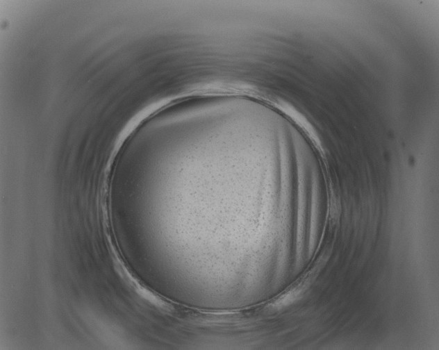X0000082741486200702091851