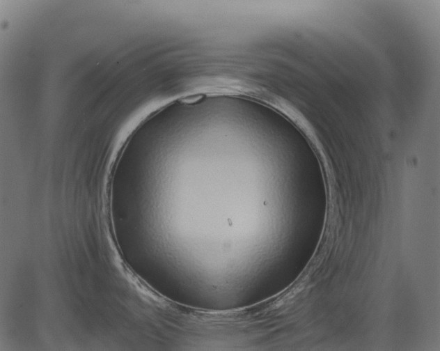 X0000082741488200702091851