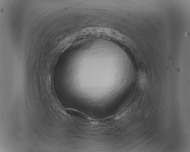 X0000082741489200702091850