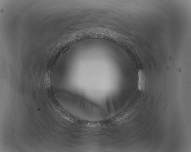 X0000082741491200702091850