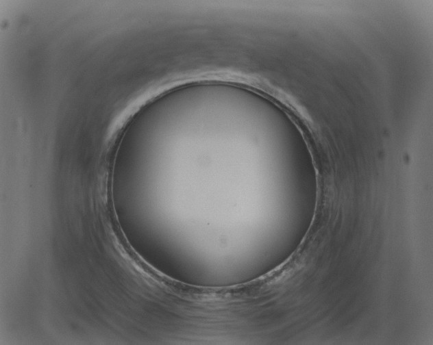 X0000082741504200702091850