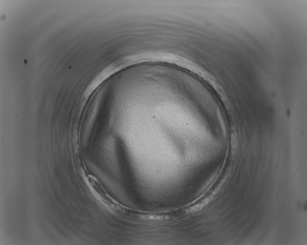 X0000082741521200702091850