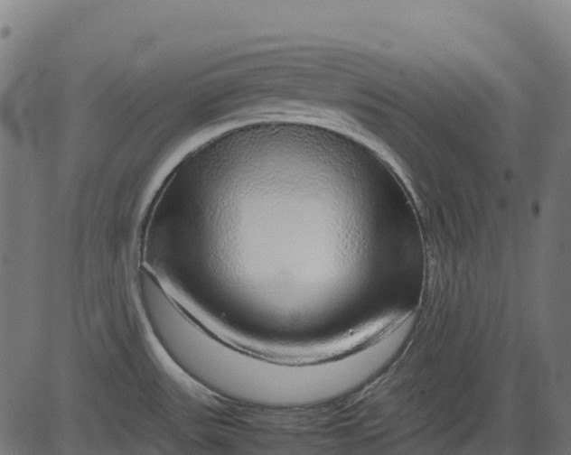 X0000082741531200702091850