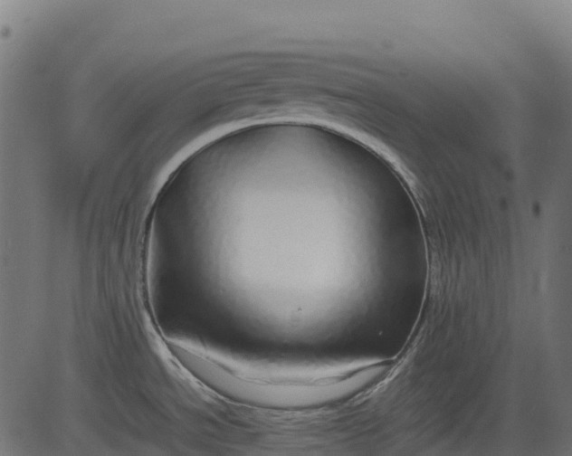 X0000082741534200702091850