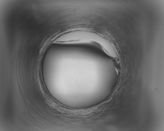 X0000082740001200702161945