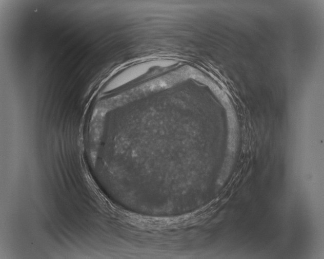 X0000082740002200702161945