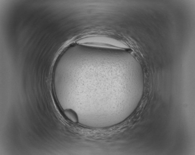 X0000082740003200702161945