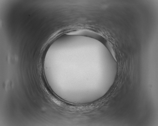 X0000082740005200702161945