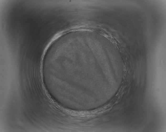 X0000082740006200702161945