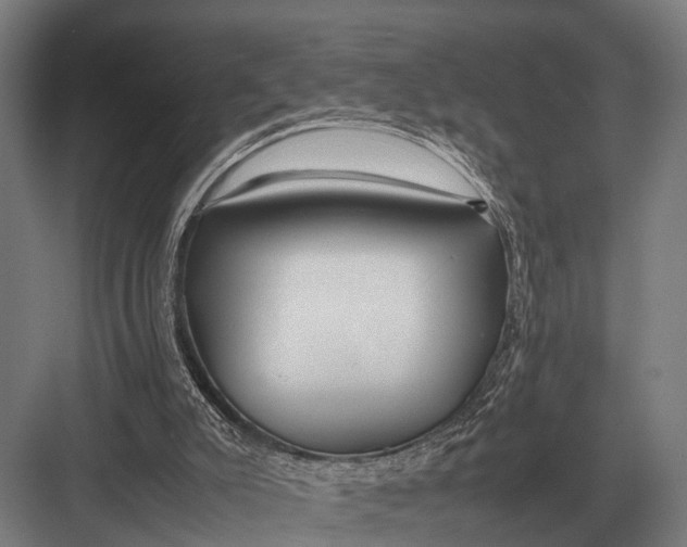 X0000082740007200702161945