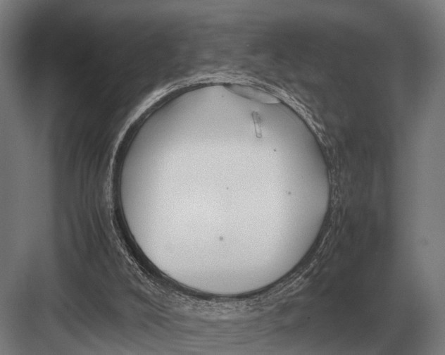 X0000082740008200702161945