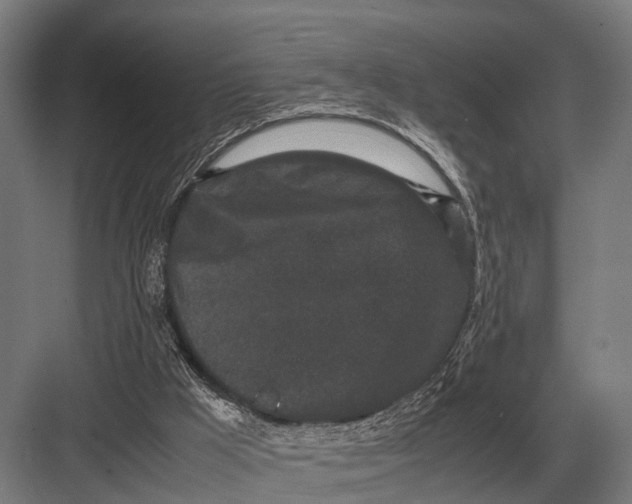 X0000082740009200702161945