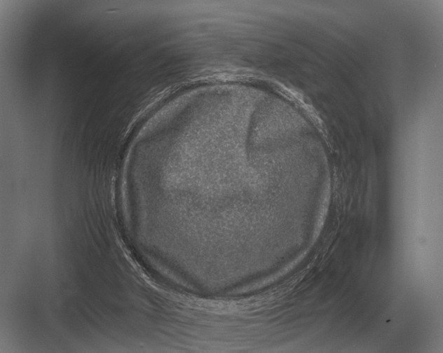 X0000082740010200702161945