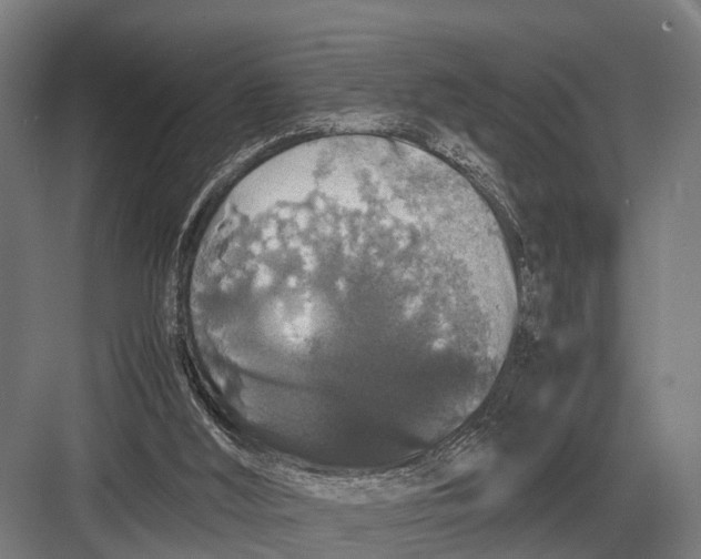 X0000082740012200702161945