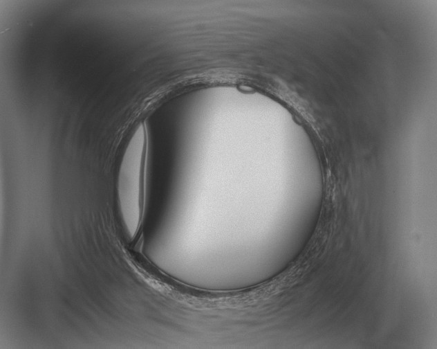 X0000082740013200702161945