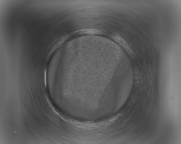 X0000082740014200702161945