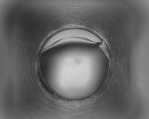 X0000082740015200702161945