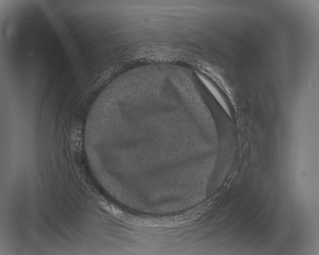 X0000082740017200702161945