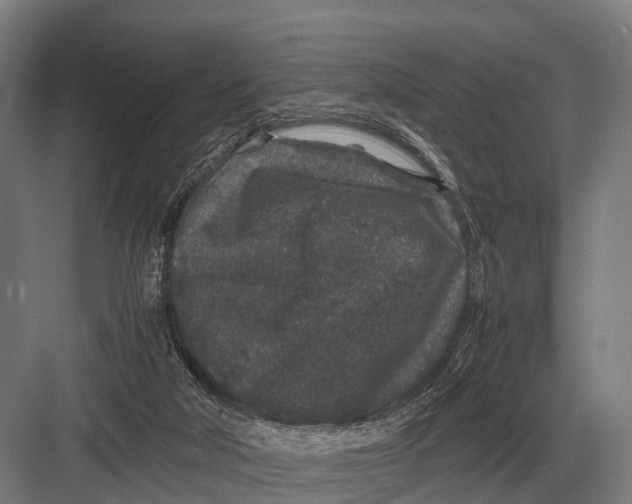 X0000082740018200702161945