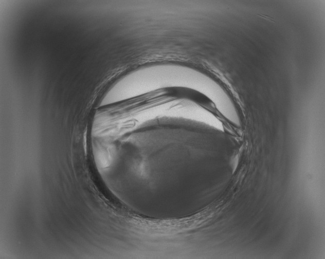 X0000082740019200702161945