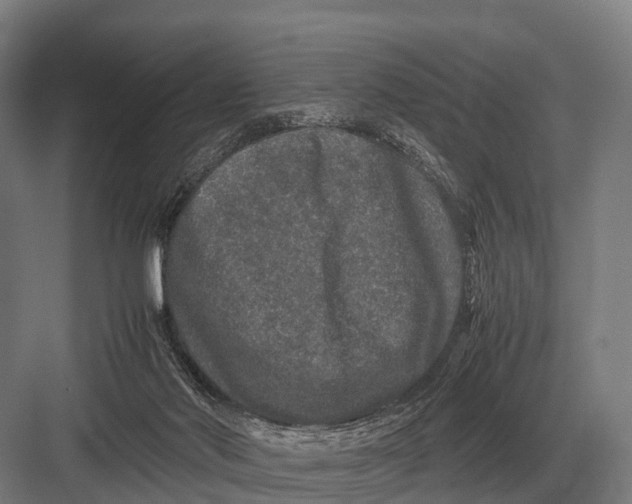 X0000082740022200702161945