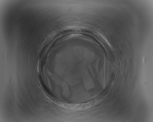 X0000082740023200702161945