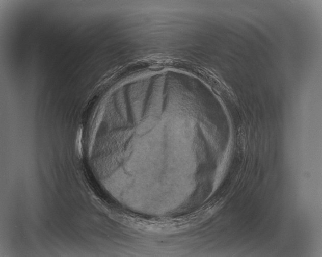 X0000082740024200702161945