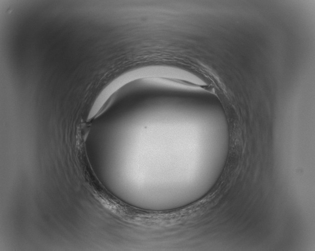 X0000082740025200702161944