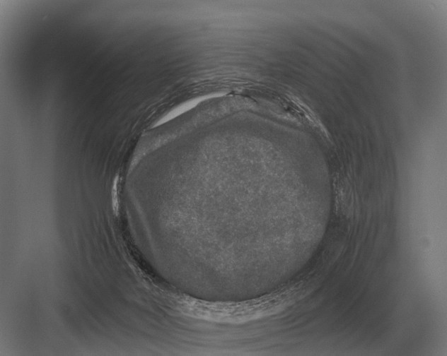 X0000082740026200702161944