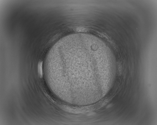 X0000082740028200702161944