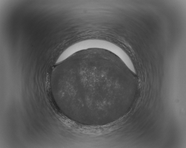 X0000082740029200702161944