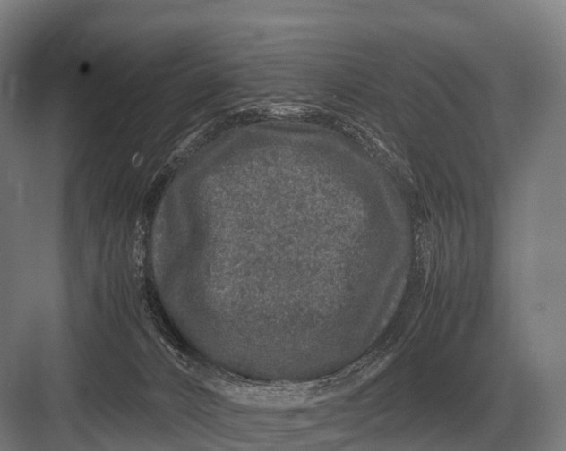 X0000082740032200702161944