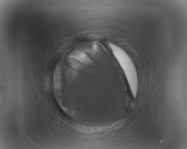 X0000082740035200702161944