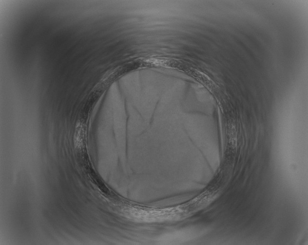 X0000082740036200702161944