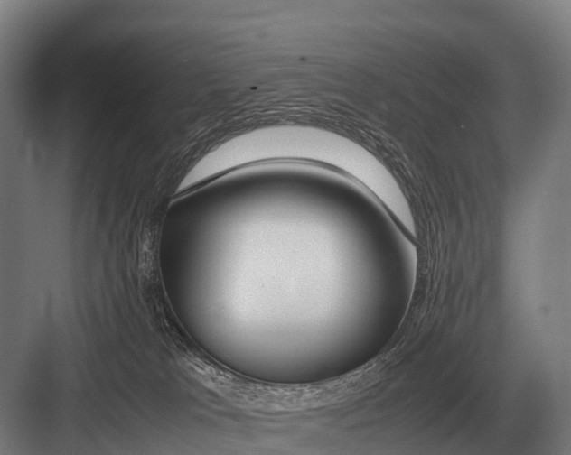 X0000082740037200702161944