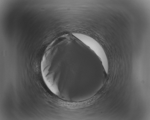 X0000082740039200702161944