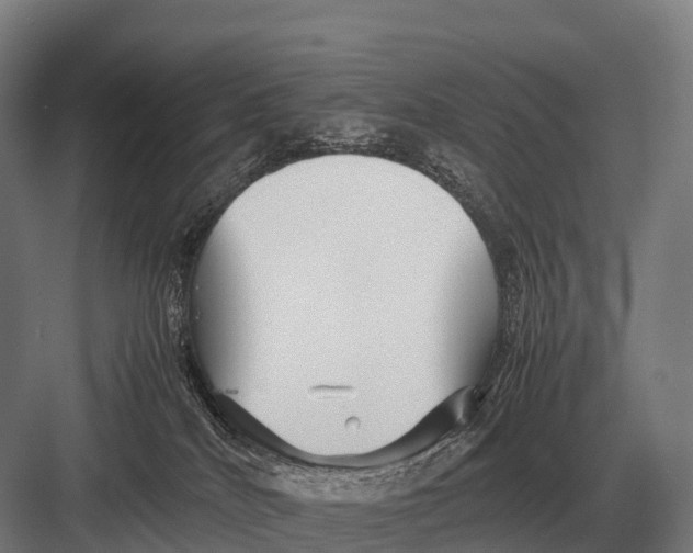 X0000082740040200702161944