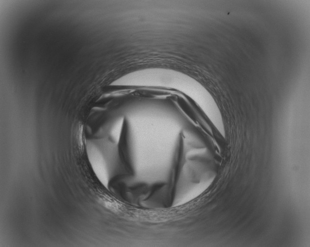 X0000082740041200702161944