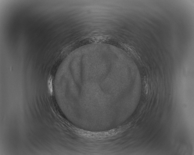 X0000082740042200702161944